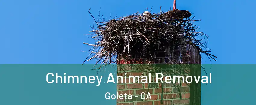  Chimney Animal Removal Goleta - CA