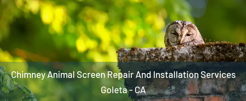 Chimney Animal Screen Repair And Installation Services Goleta - CA