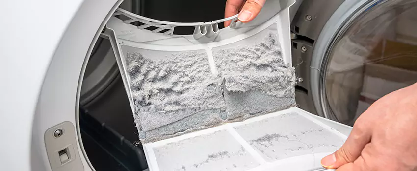 Best Dryer Lint Removal Company in Goleta, California