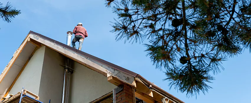 Birds Removal Contractors from Chimney in Goleta, CA