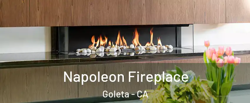  Napoleon Fireplace Goleta - CA